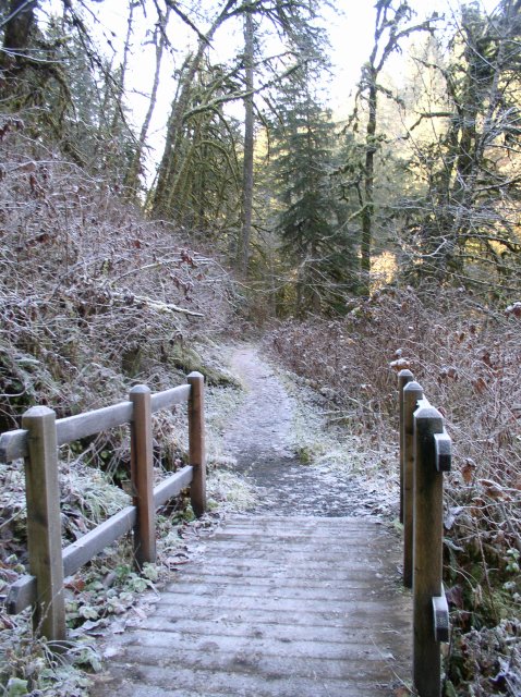 Silver Falls 12.10.05 042 